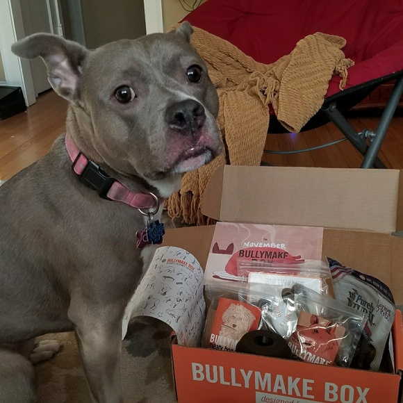 Meet your posher, Senia - Picture 2 of 3